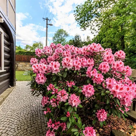 Arnoltice 7 By Interhome